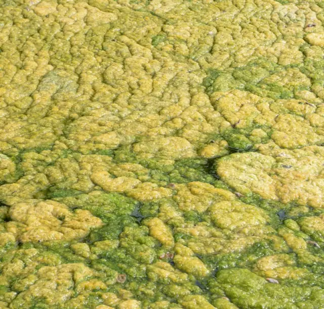 Sludge Pump and Tank Solutions in Ohio